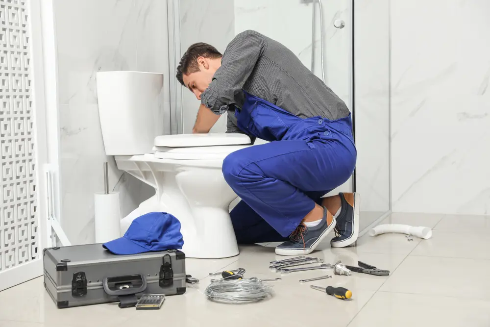 Toilet Installation in Powell